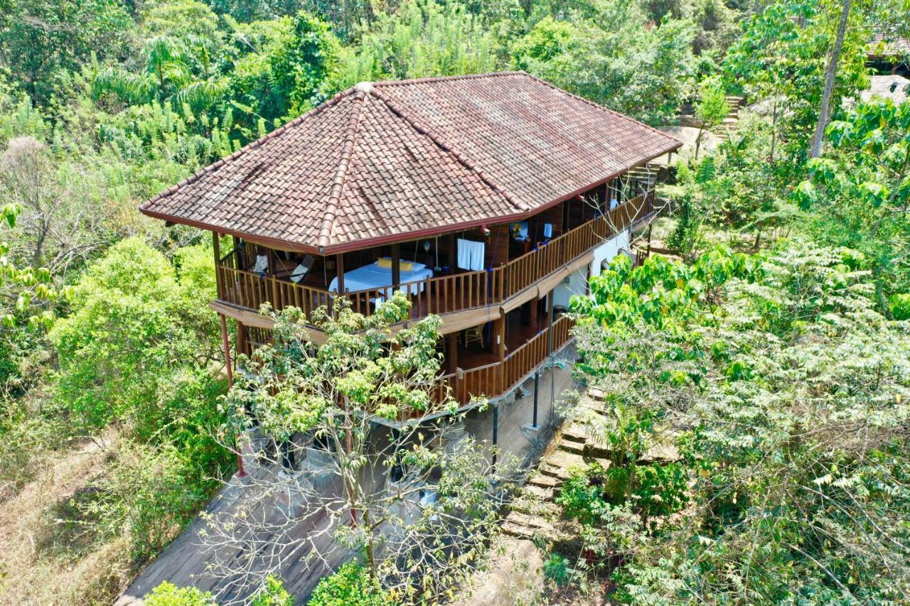 Wanakaset Forest Glamping Kitulgala Extérieur photo