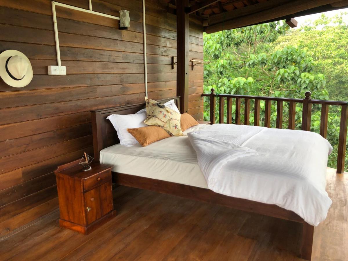 Wanakaset Forest Glamping Kitulgala Extérieur photo