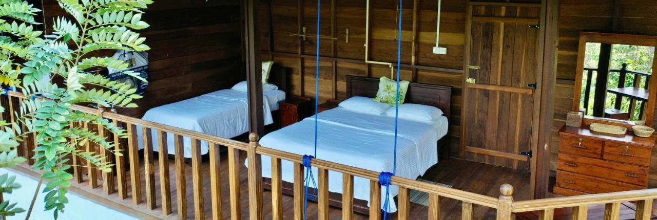 Wanakaset Forest Glamping Kitulgala Extérieur photo