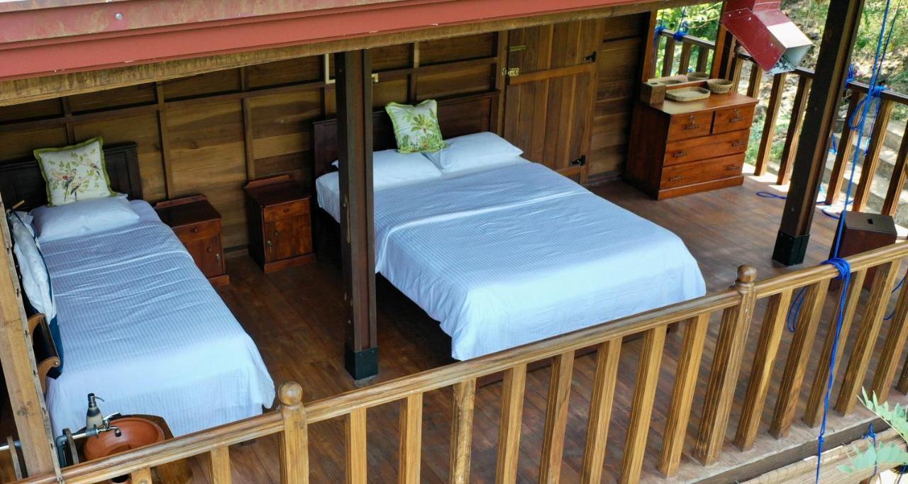 Wanakaset Forest Glamping Kitulgala Extérieur photo