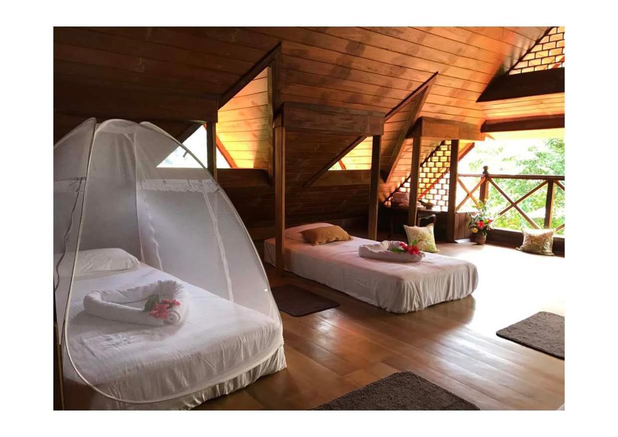 Wanakaset Forest Glamping Kitulgala Extérieur photo