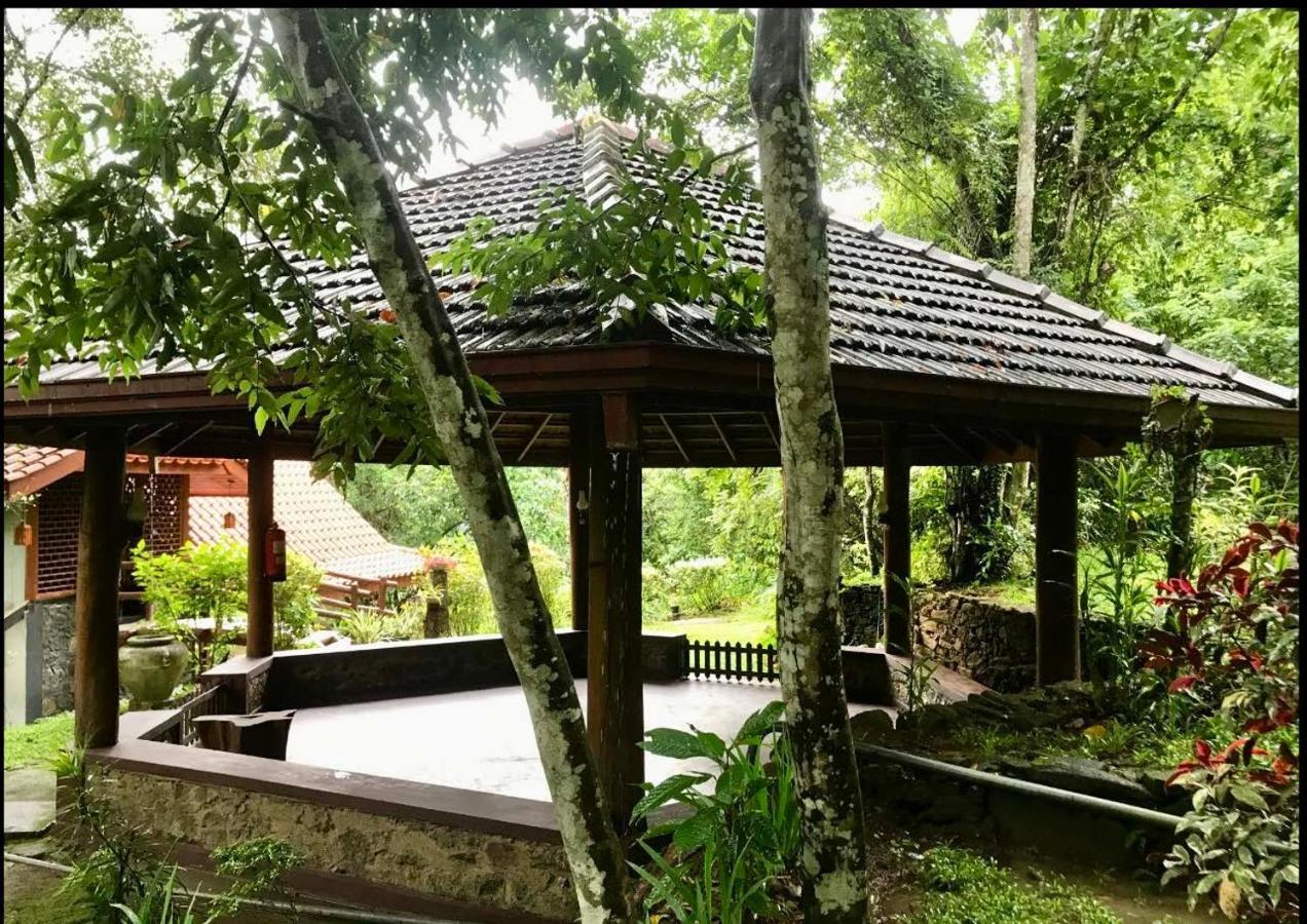Wanakaset Forest Glamping Kitulgala Extérieur photo