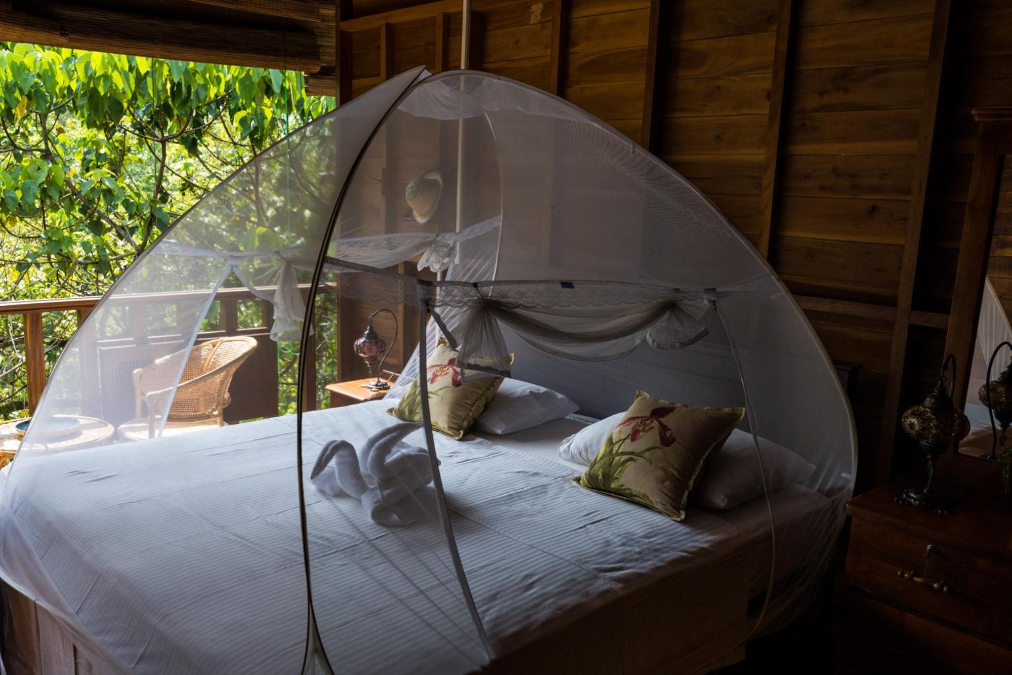 Wanakaset Forest Glamping Kitulgala Extérieur photo