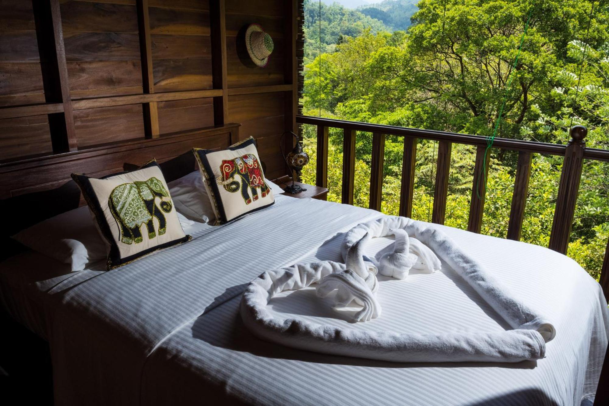 Wanakaset Forest Glamping Kitulgala Extérieur photo