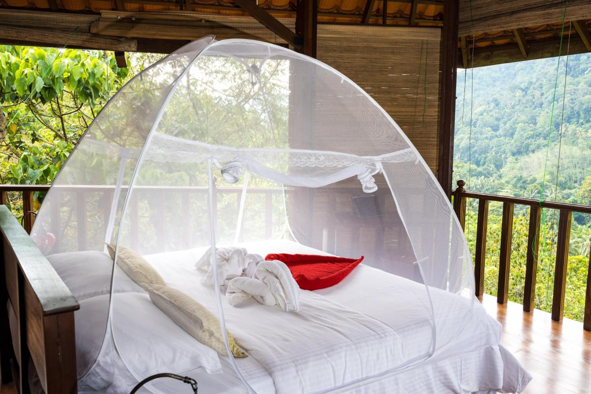 Wanakaset Forest Glamping Kitulgala Extérieur photo