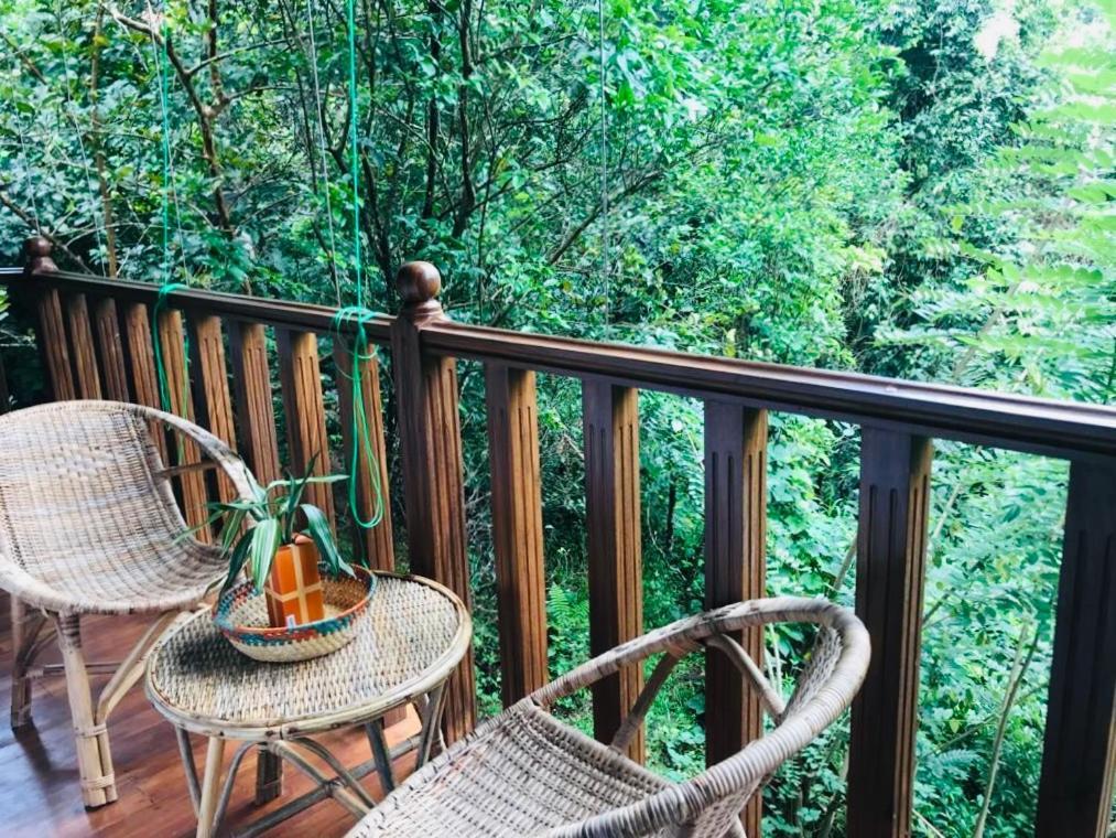 Wanakaset Forest Glamping Kitulgala Extérieur photo