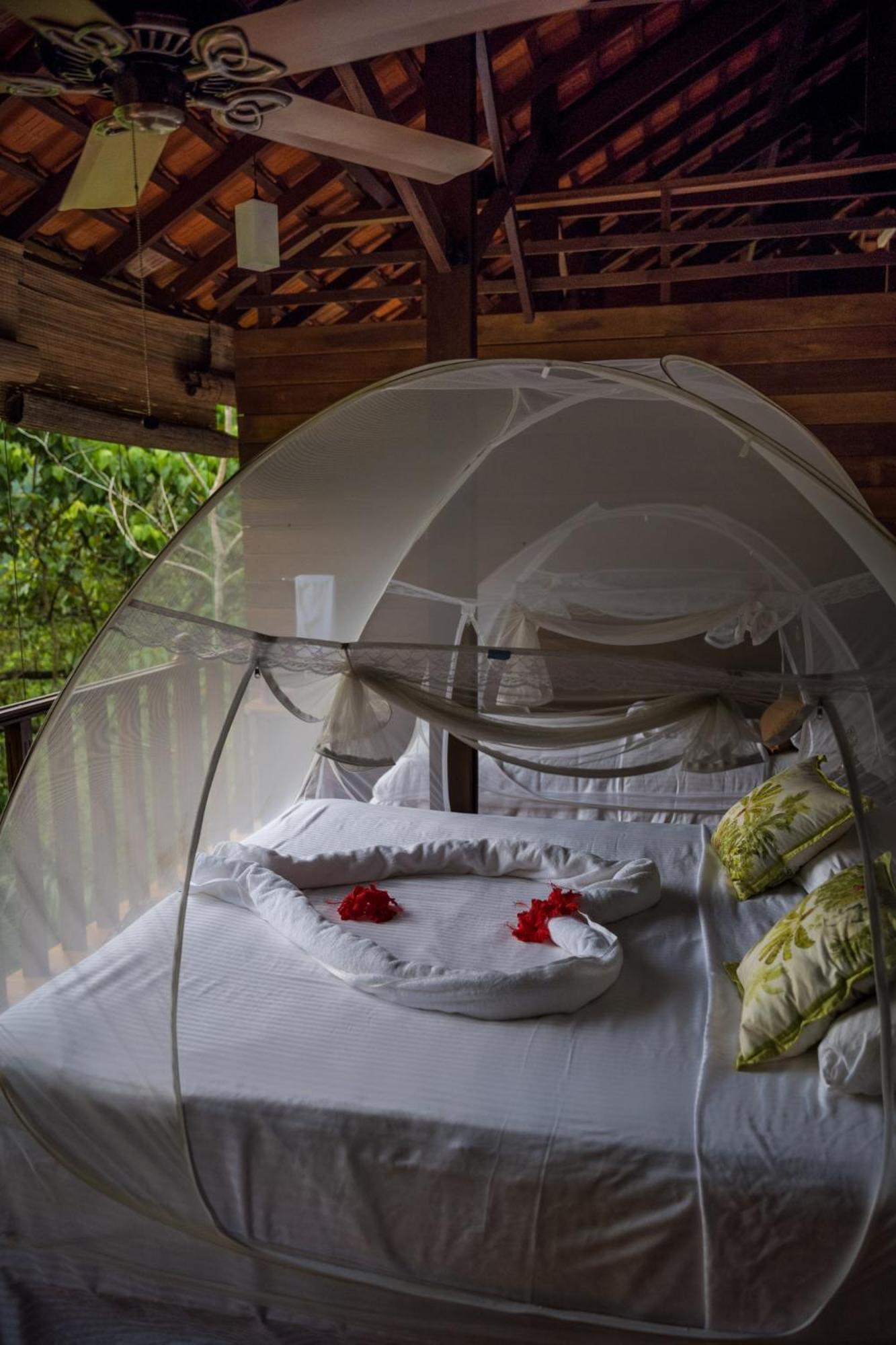 Wanakaset Forest Glamping Kitulgala Extérieur photo