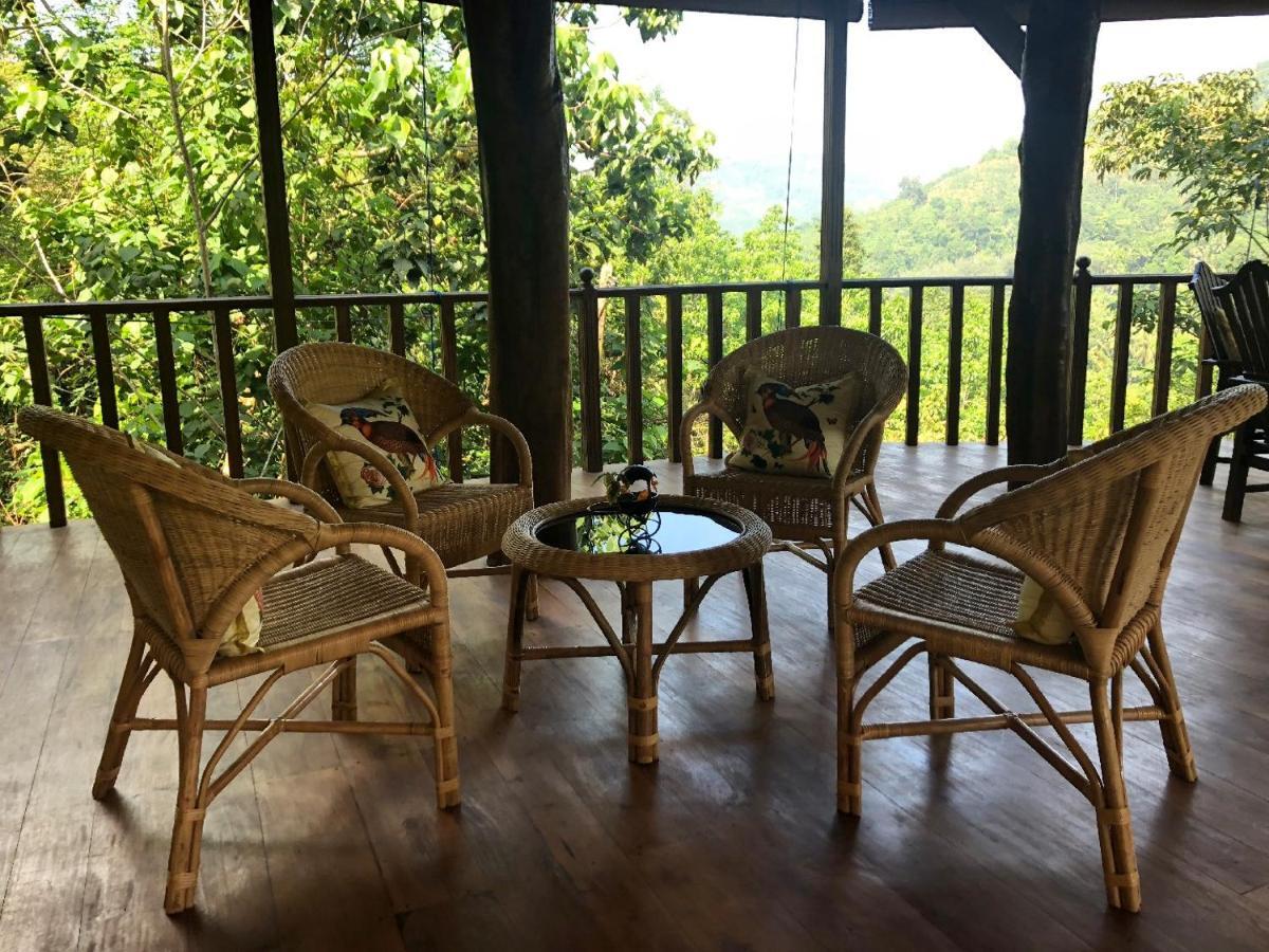 Wanakaset Forest Glamping Kitulgala Extérieur photo